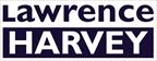 Dayforce Business Analyst